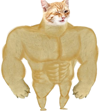 Buff cat
