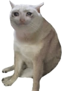 Crying cash cat